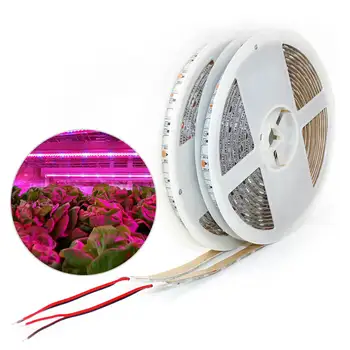 300 LEDs Cresce a Luz 12V Fito Lâmpada 5050 Chip LED Faixa de Luz de Espectro Completo Hidropônico de Plantas em Crescimento de Mudas de Plantas com efeito de Estufa