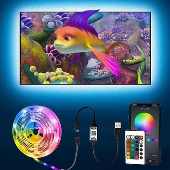 Luz LED Strip RGB 5050/2835 Luces USB 5V Flexível, Lâmpada do Diodo Fita Bluetooth, TV com Controle Remoto Ecrã Parte de Decoração do Quarto