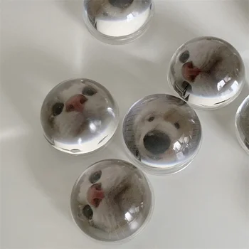 A Coreia Do Ins Bonito Cão, Gato De Vidro Cristal Transparente Aderência Tok Telefone Móvel Anel De Dedo Dobrável Griptok Suporte De Soquete