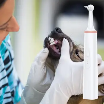 2020 Cão Tártaro Aspirador Elétrico Profissional de Dentes Polidor de animal de Estimação de Cálculo de Placa de Manchas de Dentes de Limpeza Com 4 Cabeças de Escova NOVO