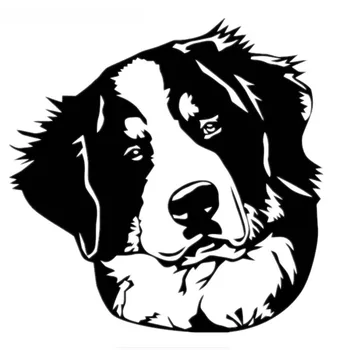 Bernese Mountain Dog Etiqueta do Carro Engraçado de Animal Adesivos Impermeável, Protetor solar Decalque dos Auto Acessórios, discos de Vinil,15*15cm