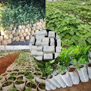 100Pcs/Set Biodegradável Nãotecido Viveiro de Plantas Sacos de cultivo de Mudas Pote de Crescimento Plantadeira de Plantio Saco Recipiente de Ferramenta de Jardim