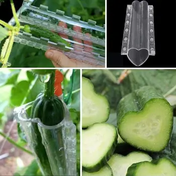 Pepino Estilo de Crescimento do Molde de Plástico em Forma de Coração de Cinco pontas Transparentes Vegetal Estrelas Moldes Jardim Cultivo de Frutas D2s4