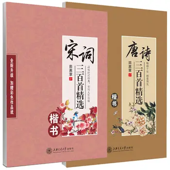 Tian Yingzhang Rígido Caneta Copybook Chinês Clássicos Poemas Canção Ci Conjunto De Adultos Wu Yusheng Regular, O Script Executado