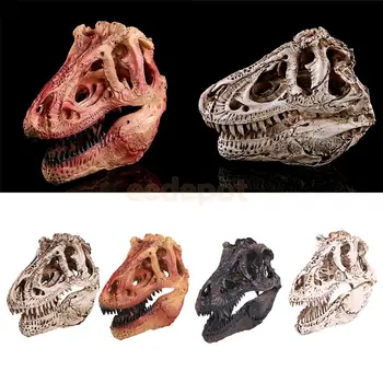 Escala 1/10 Realistas Dinossauro Tiranossauro Resina Fóssil de crânio Modelo Colecionáveis